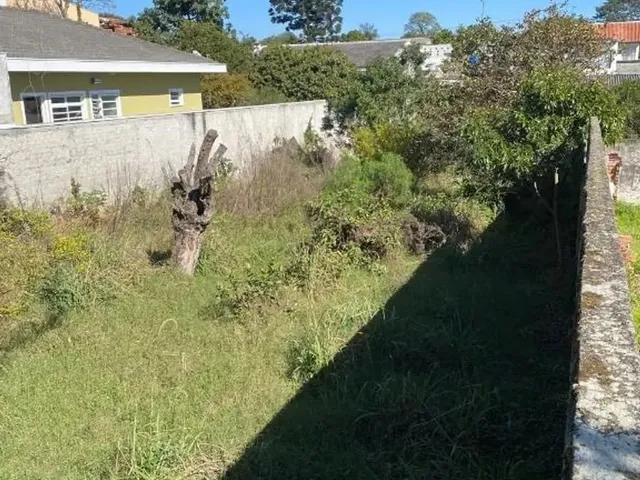 Terreno para alugar, no bairro Lindóia em Curitiba