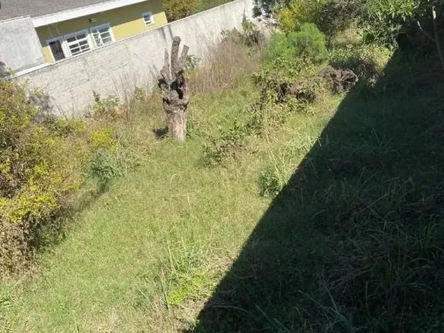 Terreno para alugar, no bairro Lindóia em Curitiba