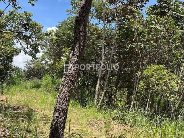 Foto do Terreno - Terreno à venda, 1890 m² por R$ 480.000,00 - Condomínio Ecológico Mansões Morumbi - Senador Canedo/GO | Portfolio Imóveis