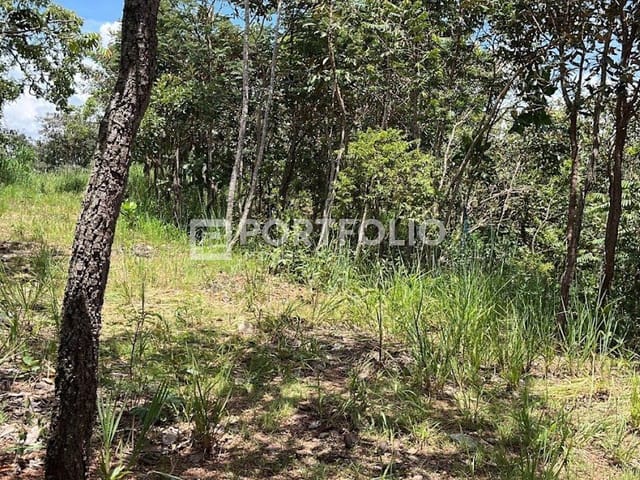 Foto do Terreno - Terreno à venda, 1890 m² por R$ 480.000,00 - Condomínio Ecológico Mansões Morumbi - Senador Canedo/GO | Portfolio Imóveis