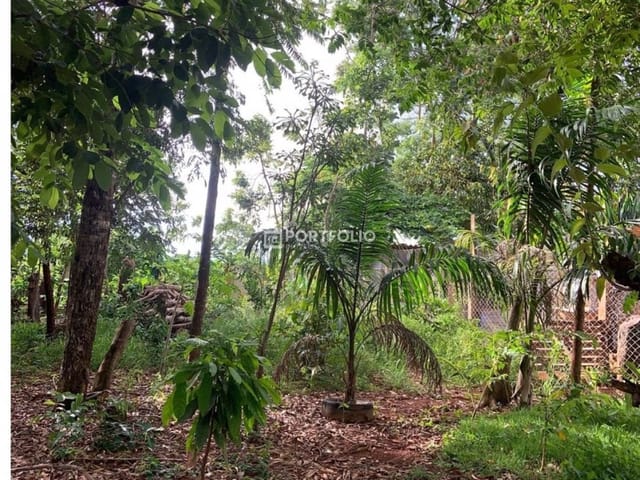 Foto do Terreno - Terreno Residencial à venda, Chacara Sussuapara, Bela Vista de Goiás - TE0428. | Portfolio Imóveis