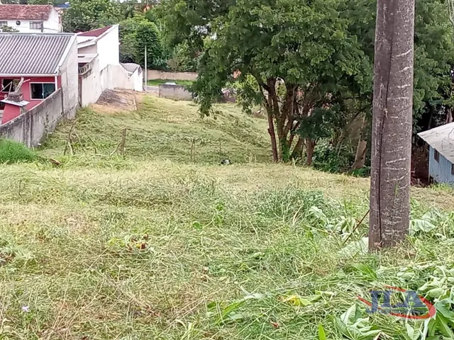 Terreno à venda, no bairro Tingui em Curitiba