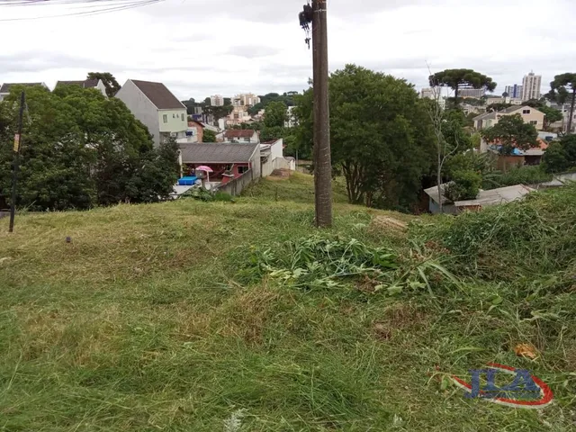 Terreno à venda, no bairro Tingui em Curitiba