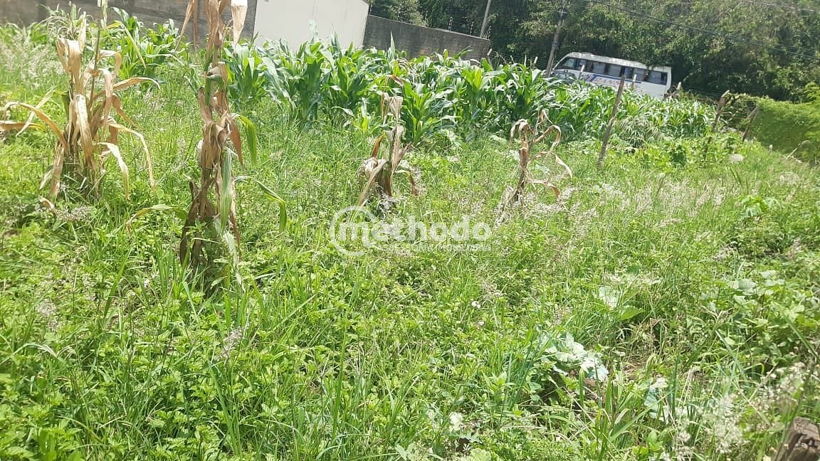 Terreno, 1000 m² - Foto 2