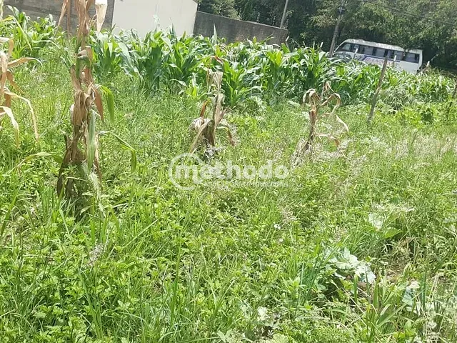 Terreno com 1000m², à venda, no bairro Chácara Primavera em Campinas
