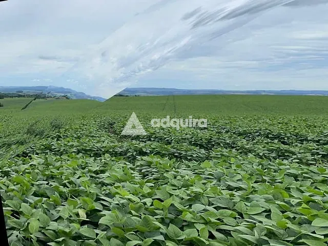 Fazenda com 484000m², à venda, no bairro rodovia em Ponta Grossa