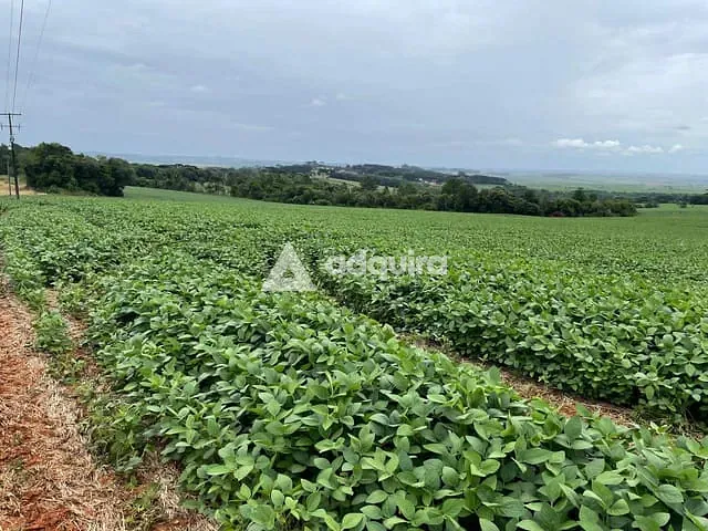 Fazenda com 484000m², à venda, no bairro rodovia em Ponta Grossa