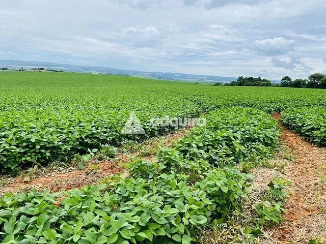 Fazenda com 484000m², à venda, no bairro rodovia em Ponta Grossa