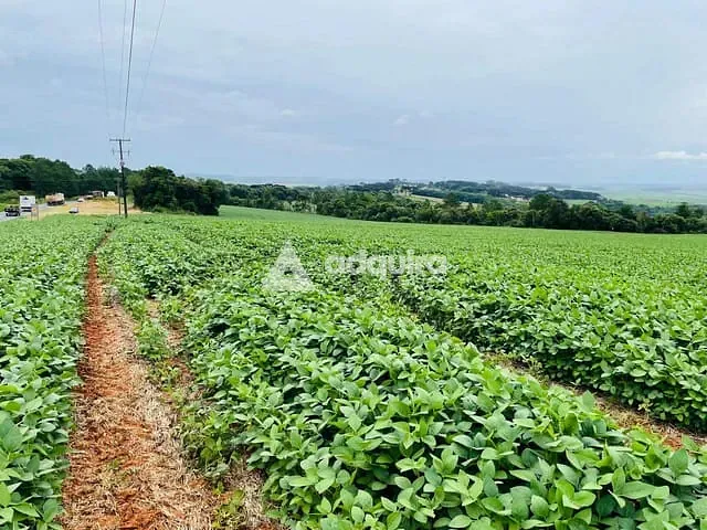 Fazenda com 484000m², à venda, no bairro rodovia em Ponta Grossa