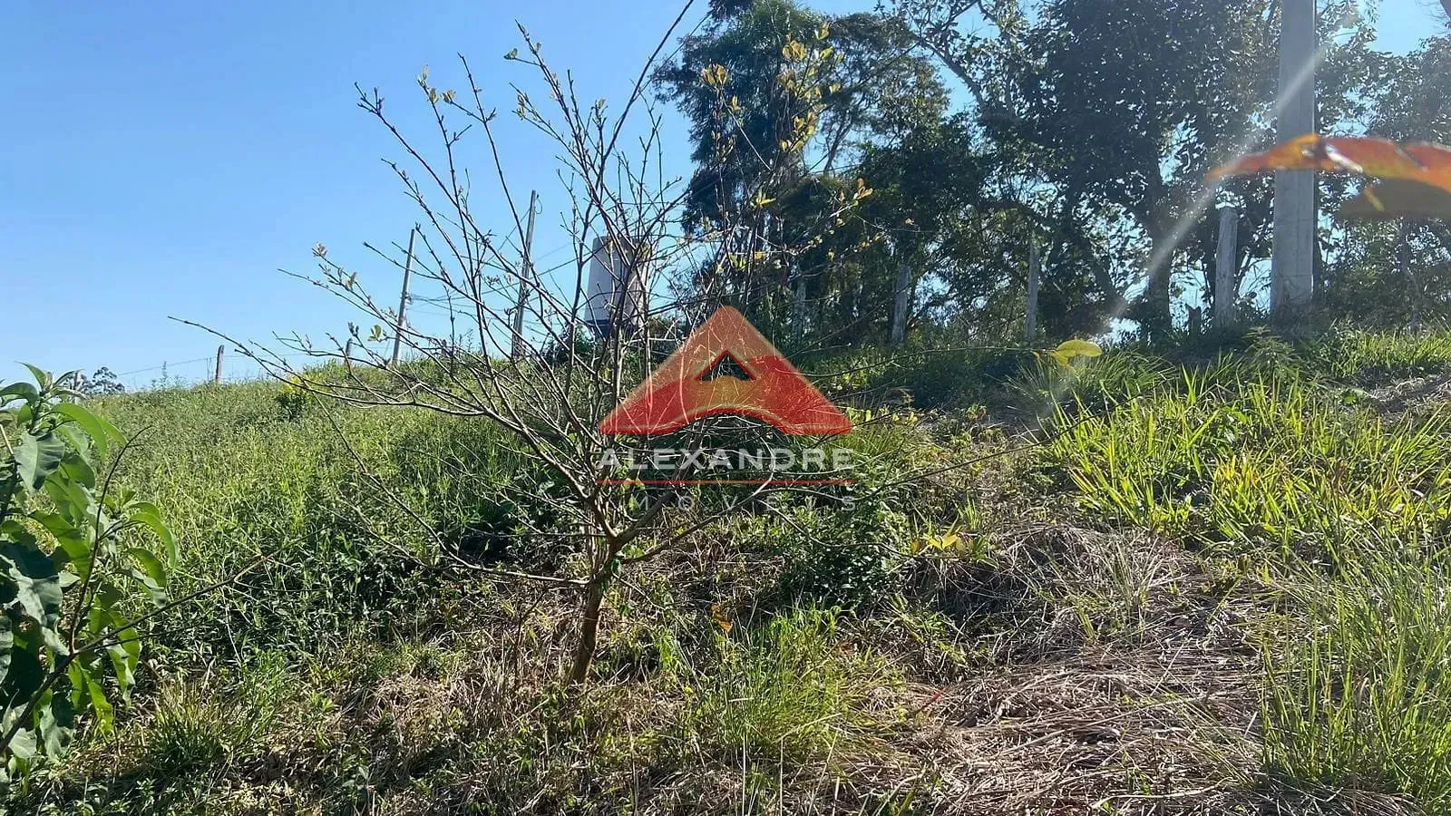 Terreno, 1200 m² - Foto 4