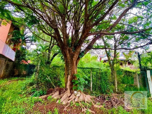 Terreno com 390m², à venda, no bairro Jardim Paulista em Atibaia