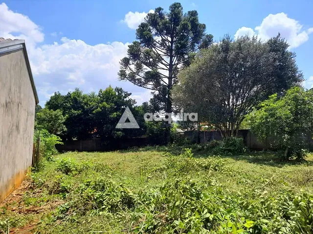 Terreno com 420m², à venda, no bairro Cará-cará em Ponta Grossa