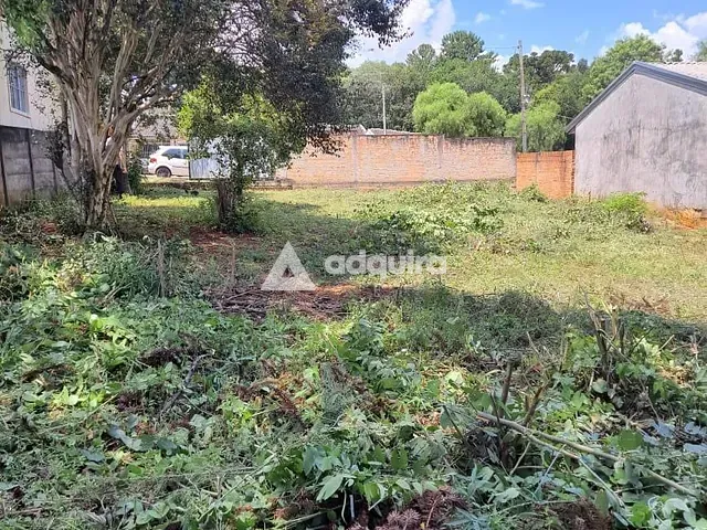 Terreno com 420m², à venda, no bairro Cará-cará em Ponta Grossa