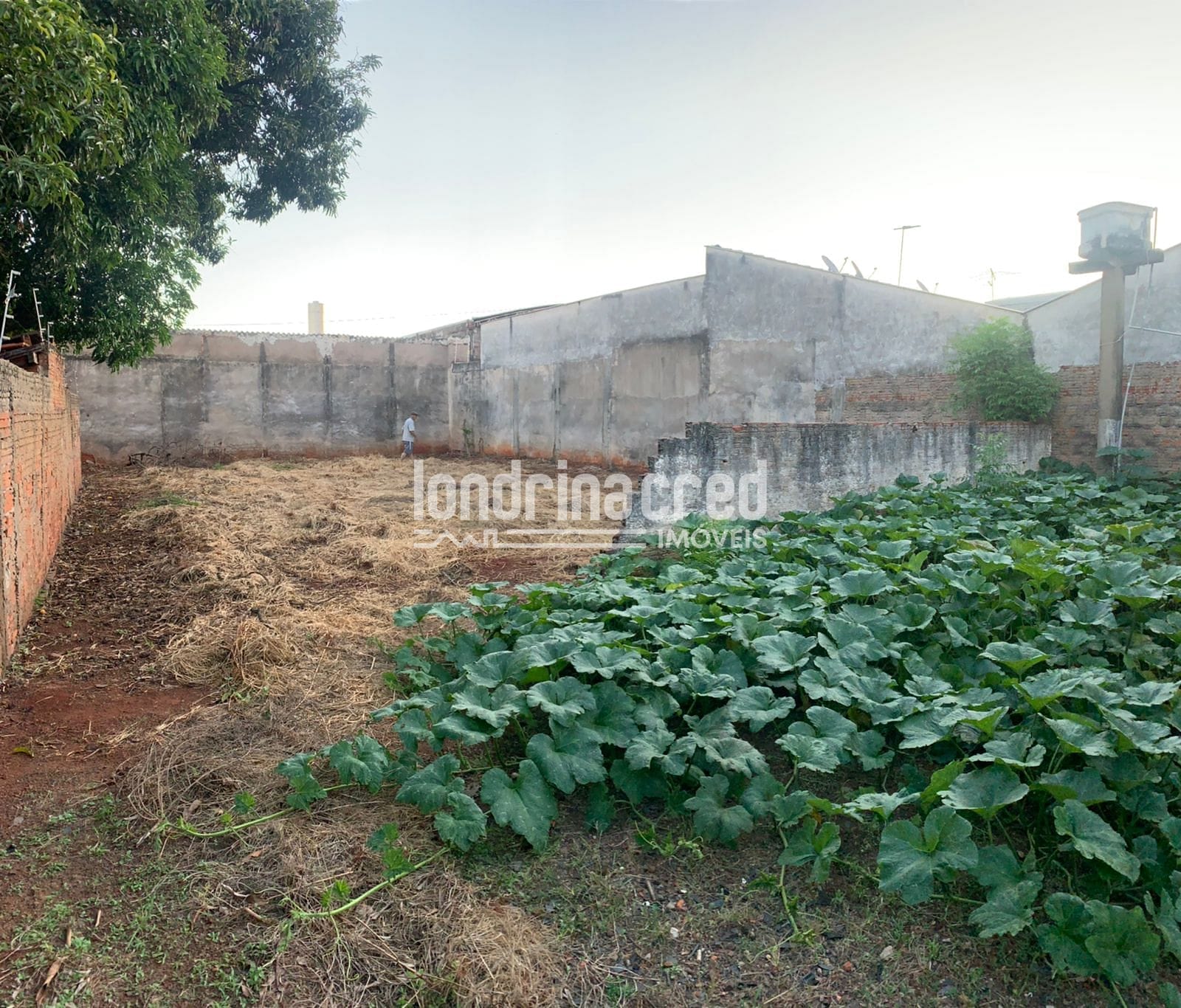 Terreno, 531 m² - Foto 3