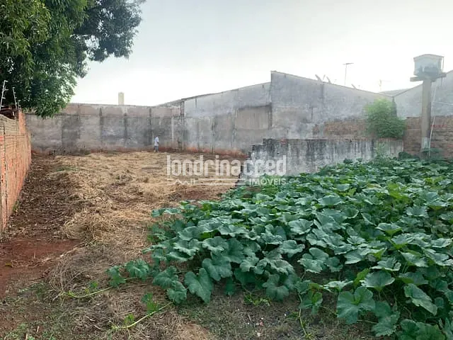 Terreno com 531m², à venda, no bairro Castelo em Londrina