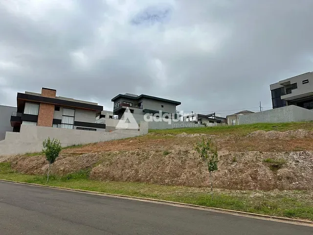 Terreno com 393m², à venda, no bairro Colônia Dona Luíza em Ponta Grossa