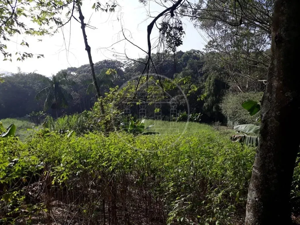 Terreno, 3000 m² - Foto 6