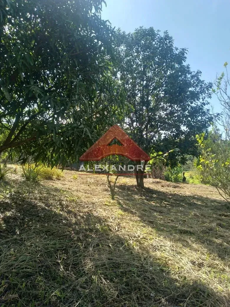 Terreno, 2366 m² - Foto 4
