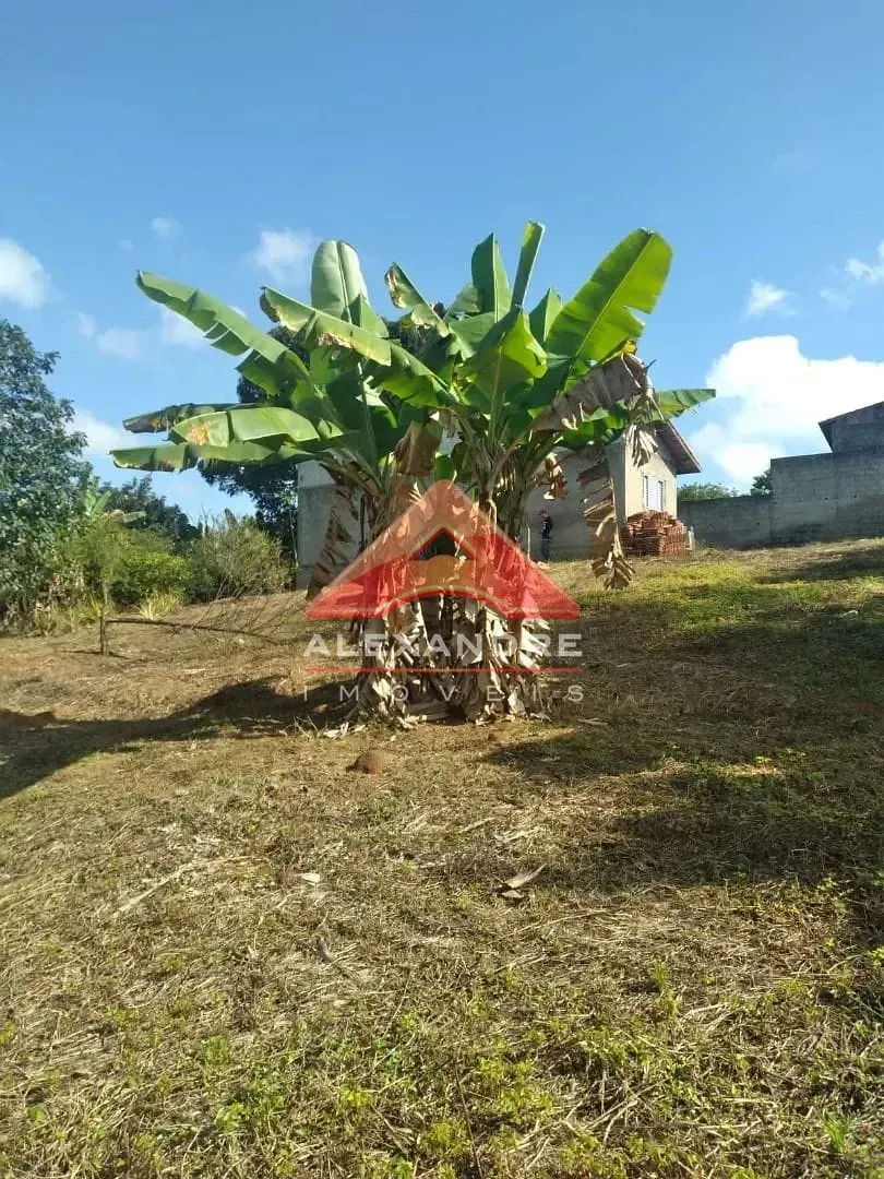 Terreno, 2366 m² - Foto 1