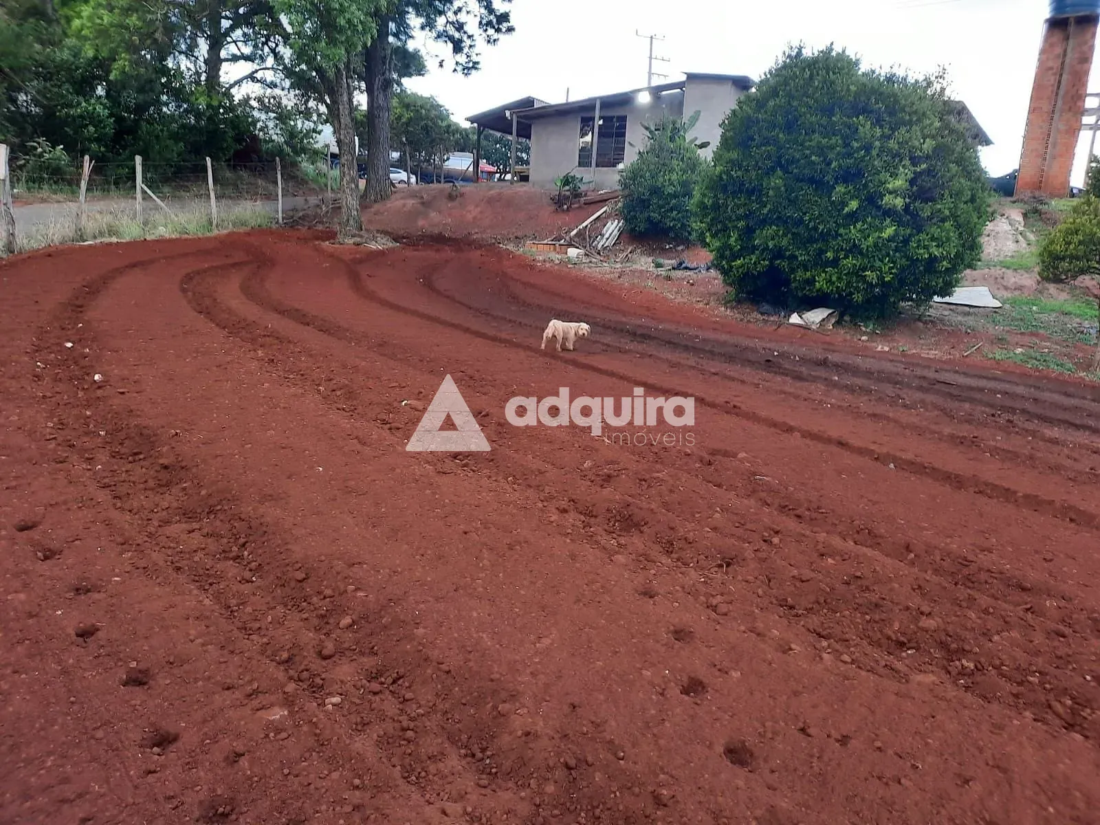 Terreno, 4683 m² - Foto 12