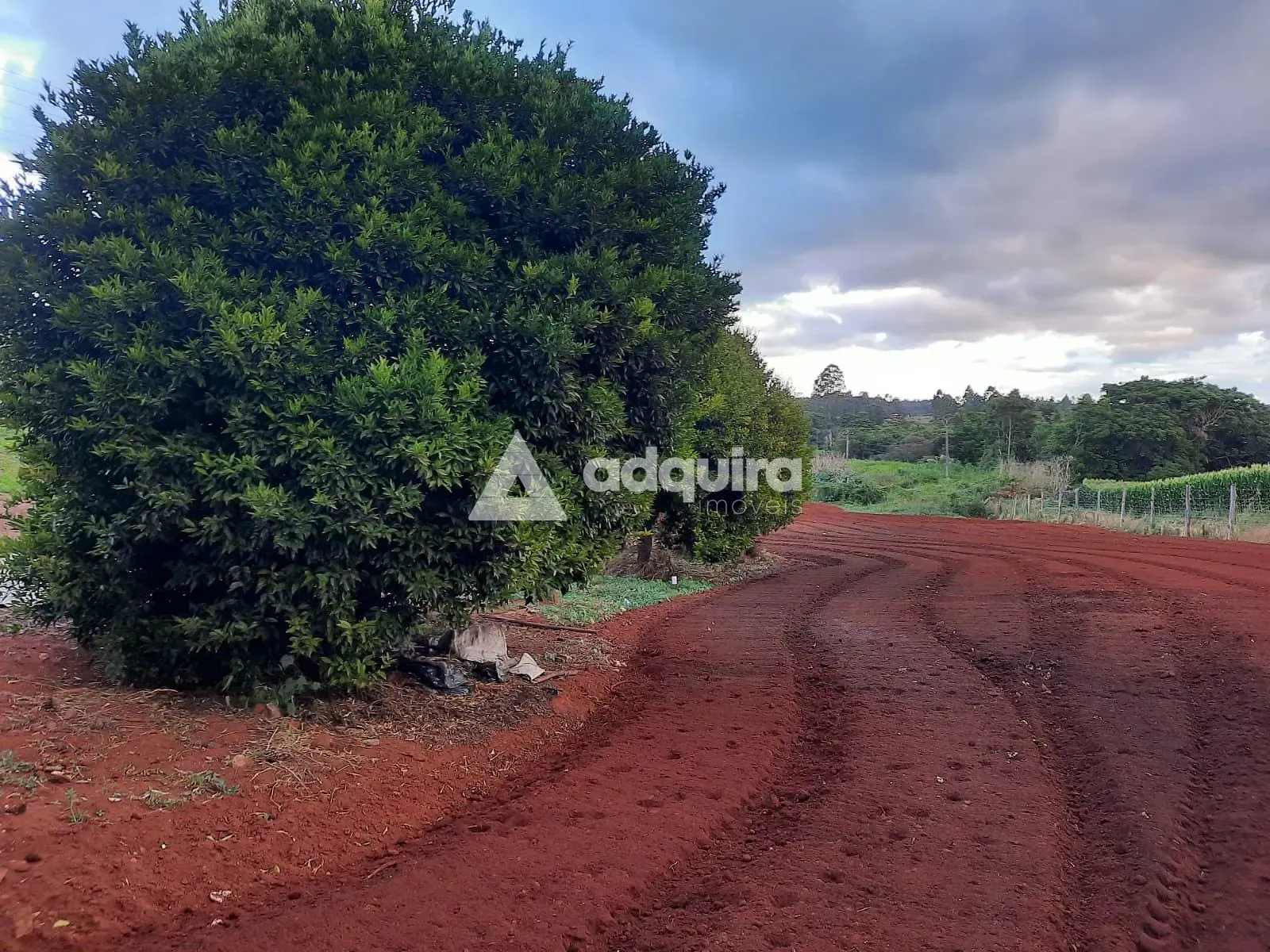 Terreno, 4683 m² - Foto 17