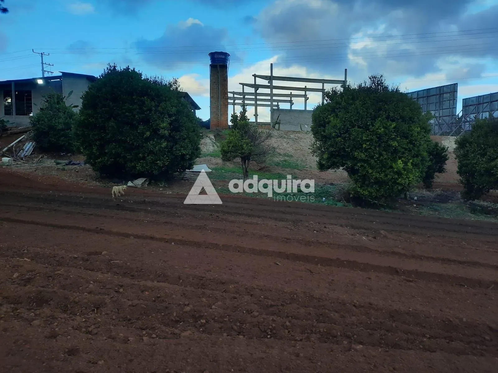 Terreno, 4683 m² - Foto 14