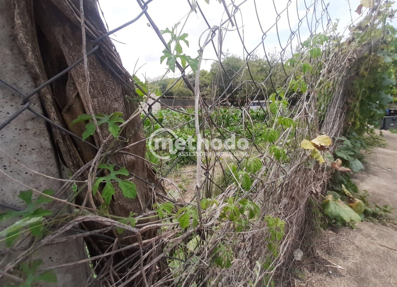 Terreno, 518 m² - Foto 5