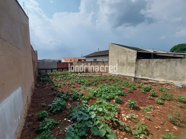 Terreno com 250m², à venda, no bairro Jardim Montecatini em Londrina