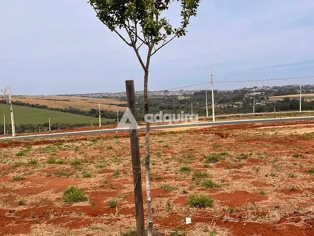 Terreno com 220m², à venda, no bairro Jardim Carvalho em Ponta Grossa
