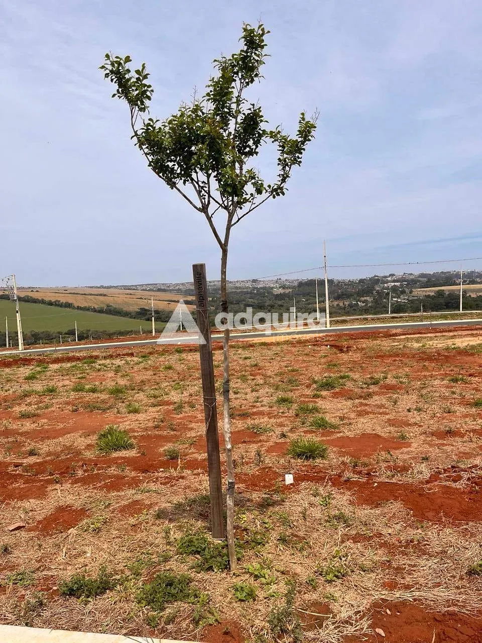Terreno, 220 m² - Foto 2