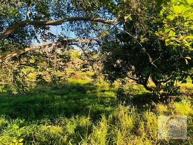 Terreno com 8700m², à venda, no bairro Jardim Ipe em Atibaia