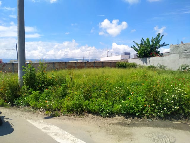Terreno com 190m², à venda, no bairro Cesar Park em Pindamonhangaba