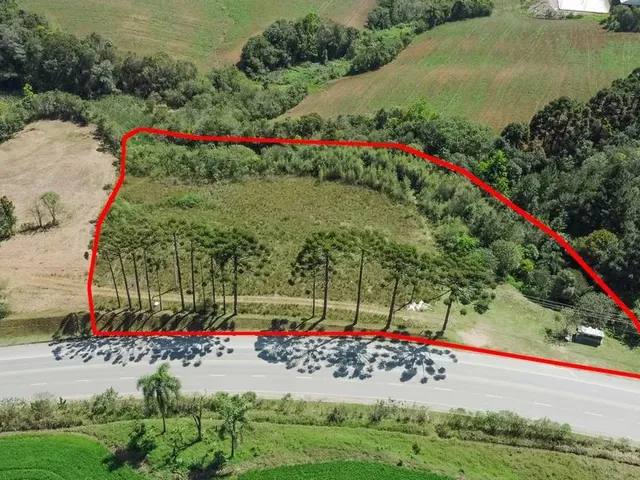 Terreno com 6814m², à venda, no bairro Samanbaia em Campo Magro