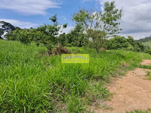 Terreno com 31000m², à venda, no bairro Pinhalzinho em Santo Antônio do Jardim