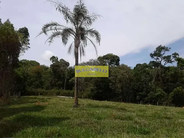 Terreno com 31000m², à venda, no bairro Pinhalzinho em Santo Antônio do Jardim