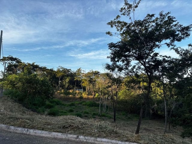 Foto do Terreno - Terreno Residencial à venda, Chacara Sussuapara, Bela Vista de Goiás - TE0357. | Portfolio Imóveis
