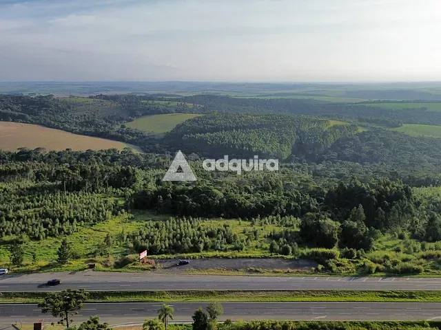 Terreno com 221964m², à venda, no bairro BR376 em Uvaia