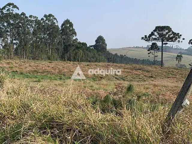 Terreno com 221964m², à venda, no bairro BR376 em Uvaia