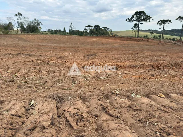 Terreno com 221964m², à venda, no bairro BR376 em Uvaia