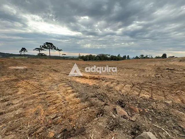 Terreno com 221964m², à venda, no bairro BR376 em Uvaia