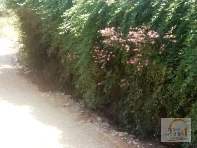 Terreno com 5000m², à venda, no bairro Morro Grande da Boa Vista em Bragança Paulista