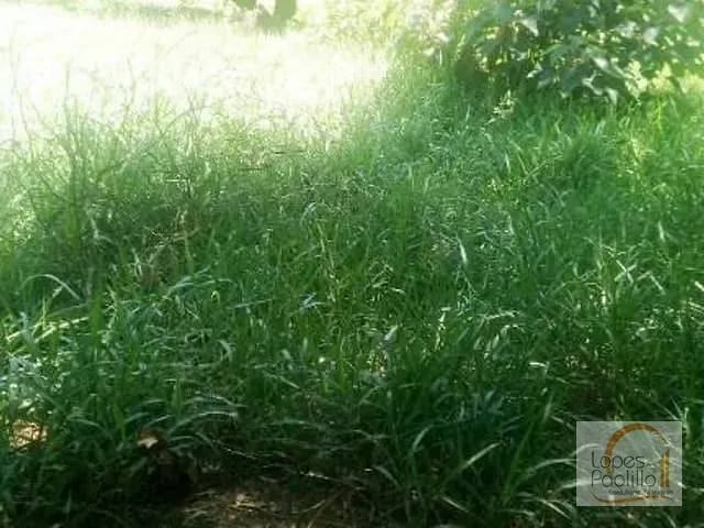Terreno com 5000m², à venda, no bairro Morro Grande da Boa Vista em Bragança Paulista