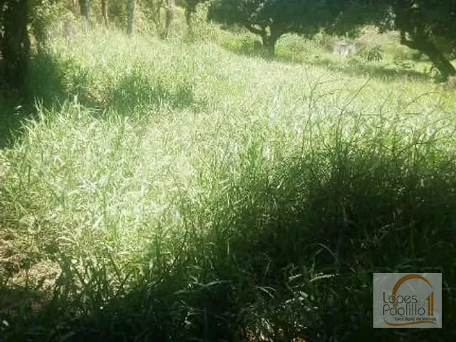 Terreno com 5000m², à venda, no bairro Morro Grande da Boa Vista em Bragança Paulista