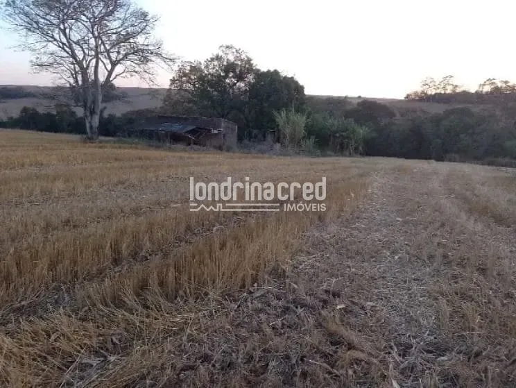 Terreno, 4 hectares - Foto 1