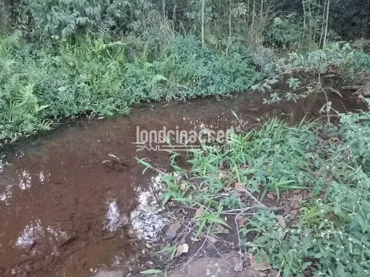 Terreno, 4 hectares - Foto 4