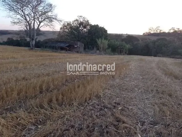Terreno com 40000m², à venda, no bairro Rural em Ibiporã