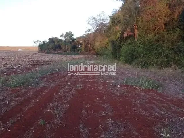 Terreno com 40000m², à venda, no bairro Rural em Ibiporã