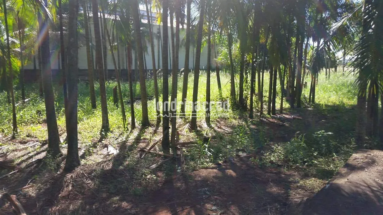 Terreno, 4950 m² - Foto 3