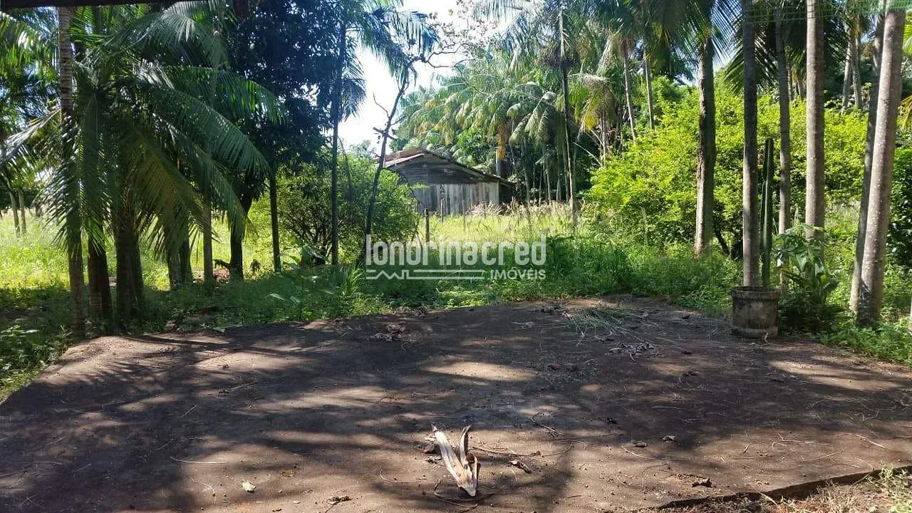Terreno, 4950 m² - Foto 4