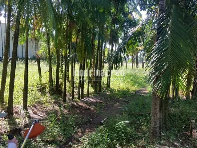 Terreno com 4950m², à venda, no bairro Jardim Rosicler em Londrina